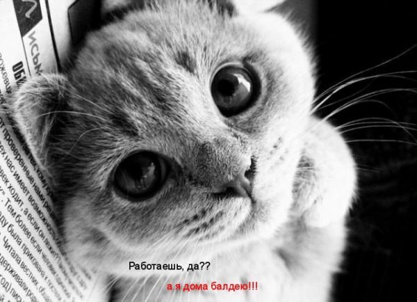 Мария Дементьева | Чита