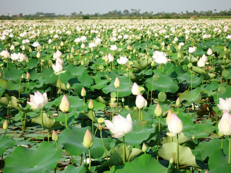 Игорь Кравцов | Протвино