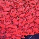 №140, Иришка Плыс, 35 лет, Ракитное №140, Иришка Плыс, 35 лет, Ракитное