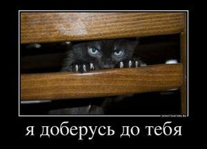 Коля Зимин | Москва