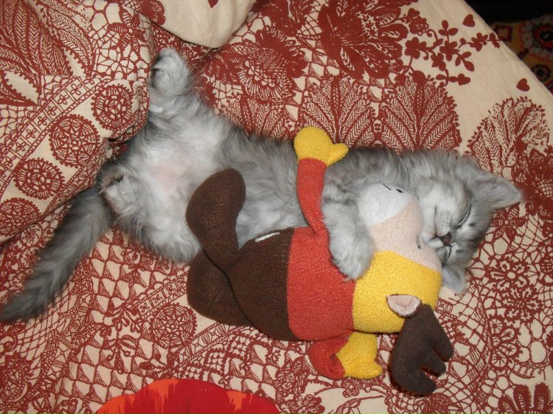 Мария Купцова | Искитим