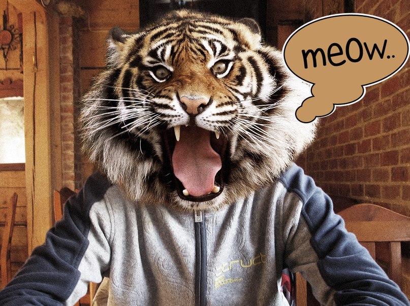 Антон Зубчевский | Запорожье