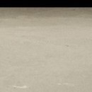 №43, Вера Милюхина, Тюмень №43, Вера Милюхина, Тюмень