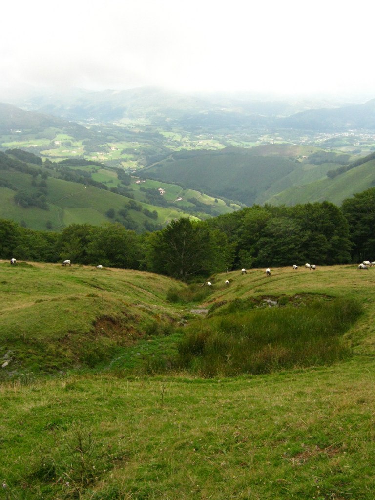Светлана Иванова | Санкт-Петербург