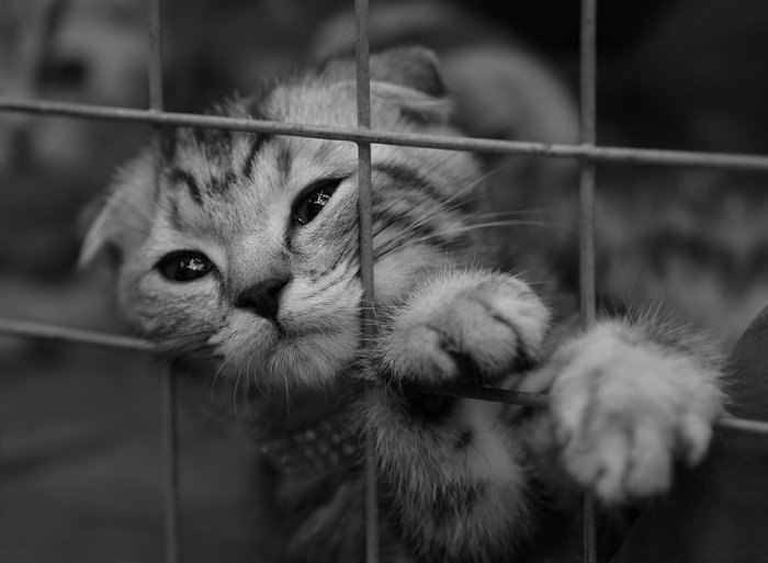 Алексей Абраимов ˤI ' m~ㄙ | 