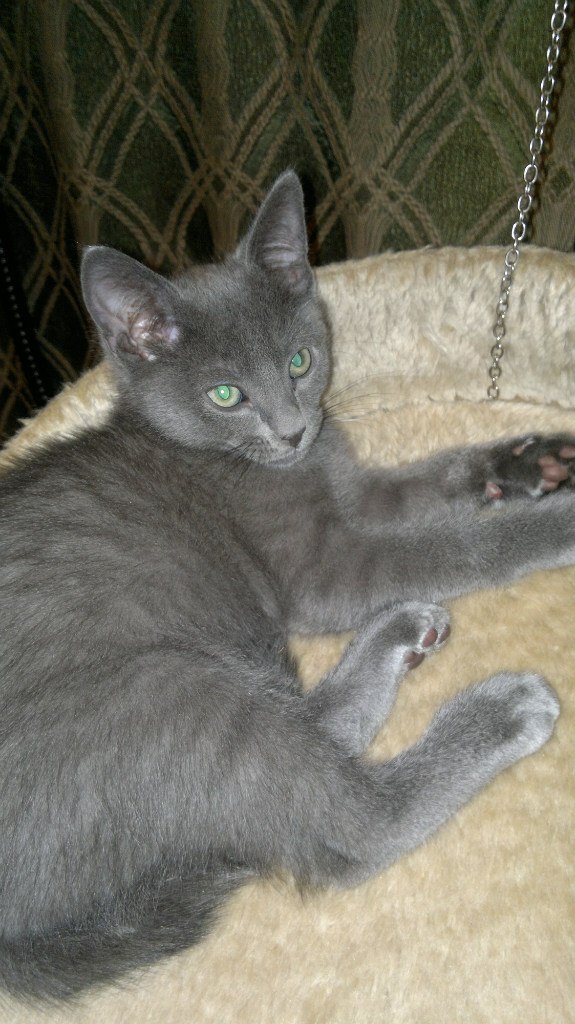 Наталья Летина | 