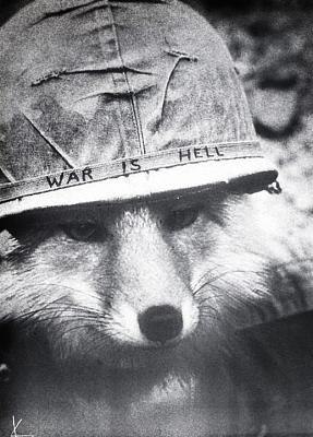 Павел Лысевич | 