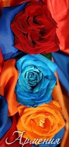 №8, Татьяна Истомина, 35 лет, Ялта №8, Татьяна Истомина, 35 лет, Ялта