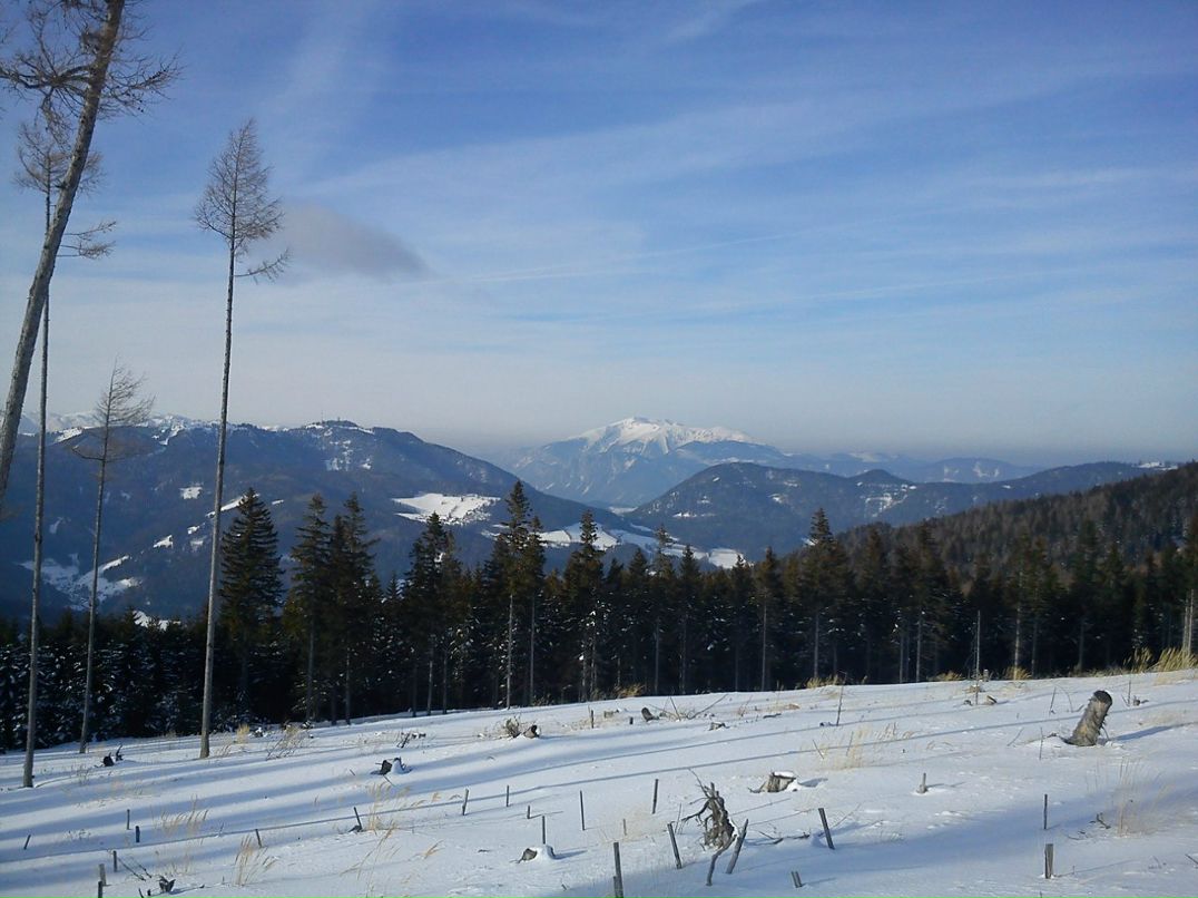 Larisa Chizhova | Wien