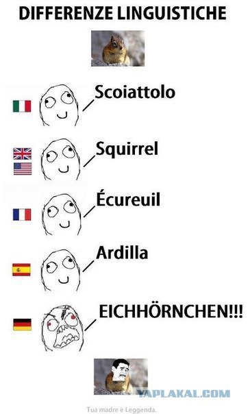 Евгений Шешин Sheshin | Новороссийск