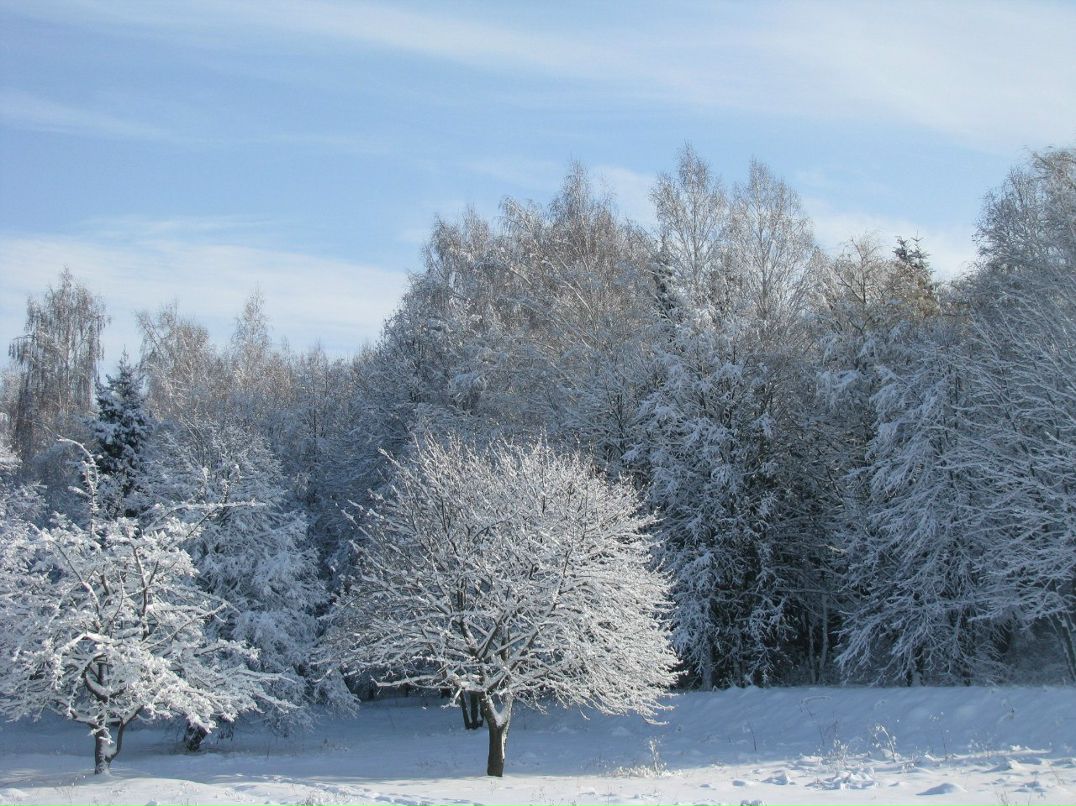 Михаил Приходько | Фастов