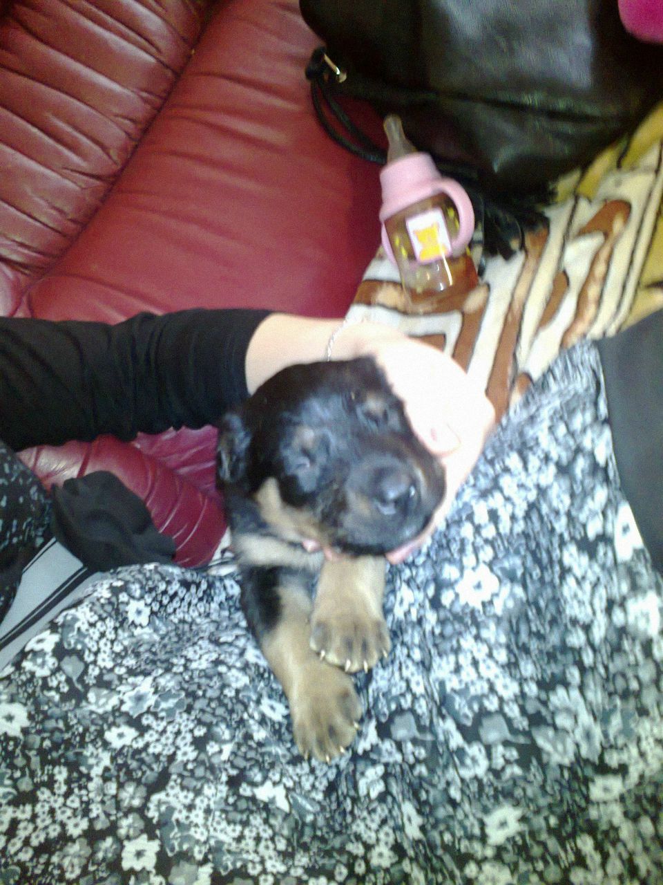 Катюша Бердинских | Нижневартовск