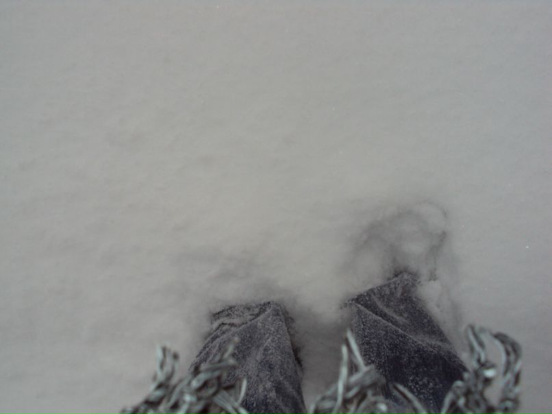 Tanya Negenko | Ялта