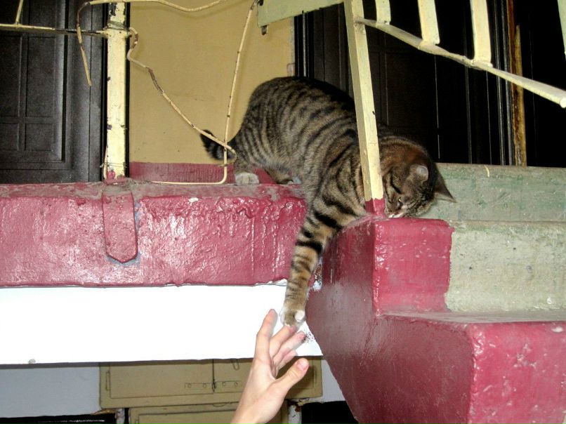 Екатерина Шаптала Ms.Hahn | Владивосток