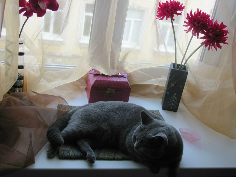 Тамара Шумило | Санкт-Петербург