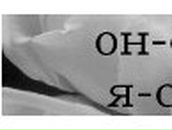 Дарья Густова | Барнаул