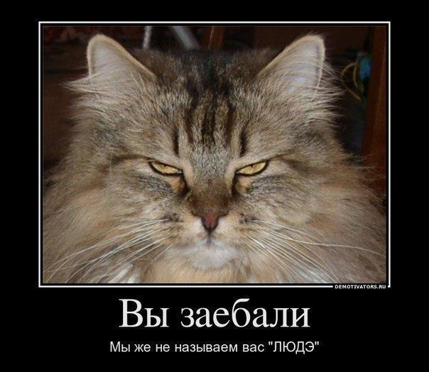 №13, Александр Яковлев, 35 лет, Рига №13, Александр Яковлев, 35 лет, Рига