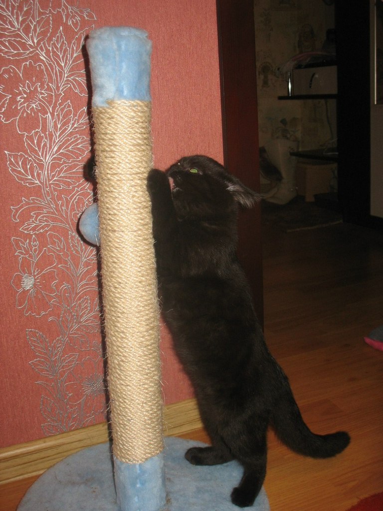 Анастасия Крыгина | 