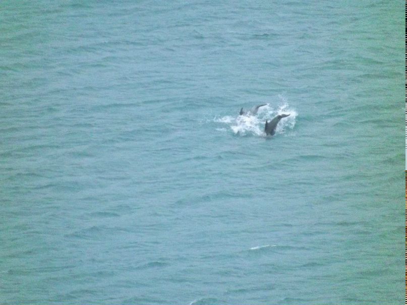 Александр Калыч | Днепр (Днепропетровск)