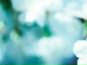 Чулпан Мулюкова *** | Казань