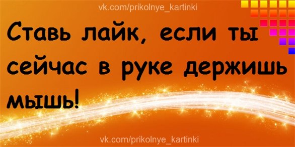 №48, Светлана Озерцова, 39 лет, Минск №48, Светлана Озерцова, 39 лет, Минск