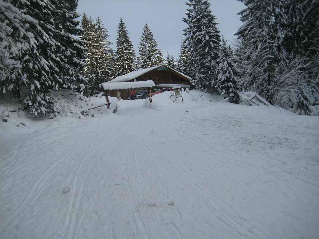 Віктор Русин viktorovuch | Берегово