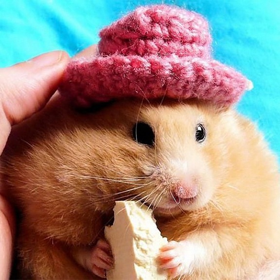 №151, Vlad Voronin, 35 лет, Киев №151, Vlad Voronin, 35 лет, Киев