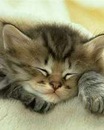Фотография Кошелёвой Розы