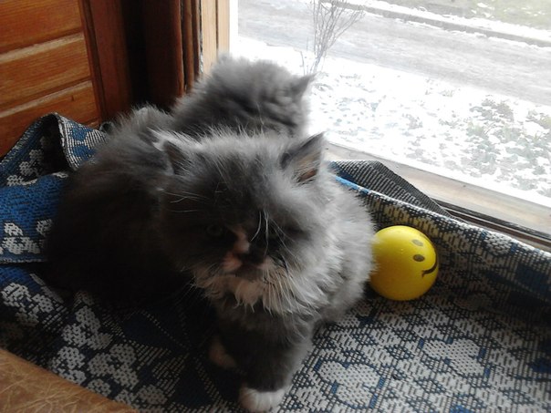 №6, Евгения Калашникова, Москва, Россия №6, Евгения Калашникова, Москва, Россия