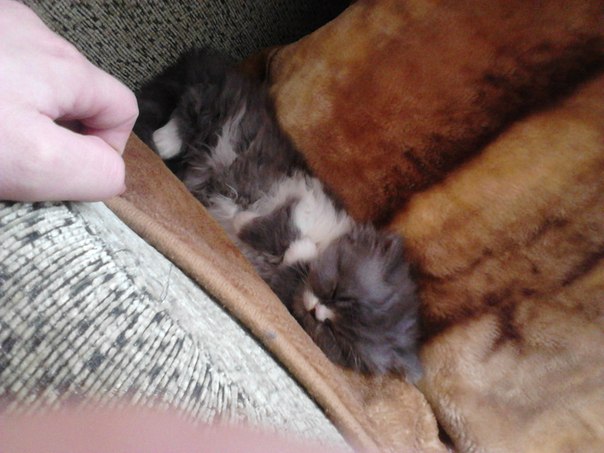 №3, Евгения Калашникова, Москва, Россия №3, Евгения Калашникова, Москва, Россия