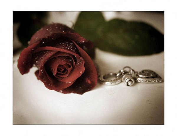 Belal Abd-Alaziz | Mülheim an der Ruhr