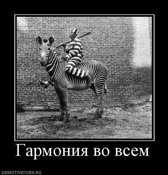 №20, Наталья Барабанова, 37 лет, Рязань №20, Наталья Барабанова, 37 лет, Рязань