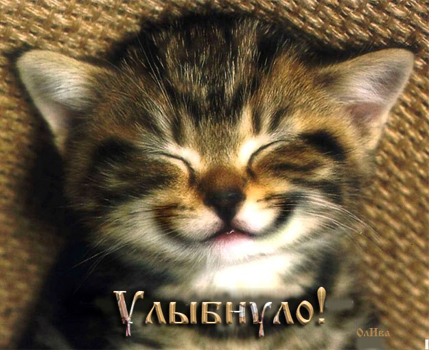 Екатерина Леоненко | Красноярск