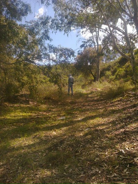 №33, Коля Абрам, 35 лет №33, Коля Абрам, 35 лет