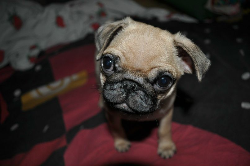 Cennody Coks ★★★ | 