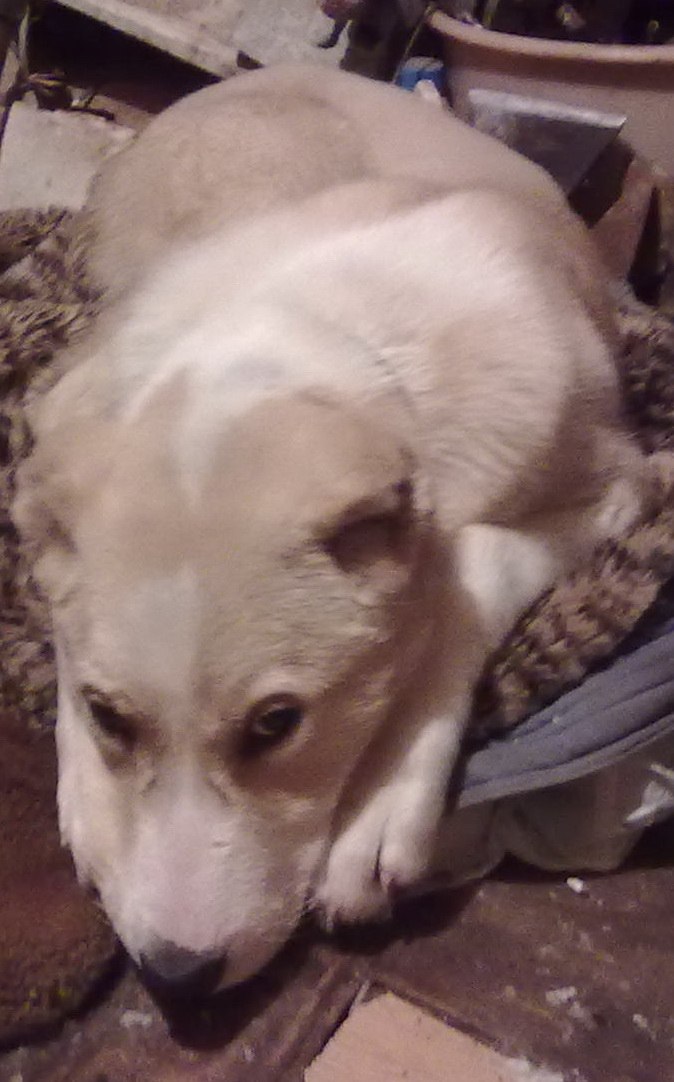 Иван Лямзиков Михайлович | Казань