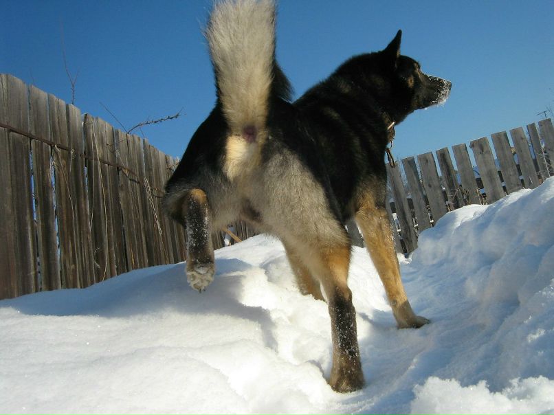 Александр Елькин | Серов