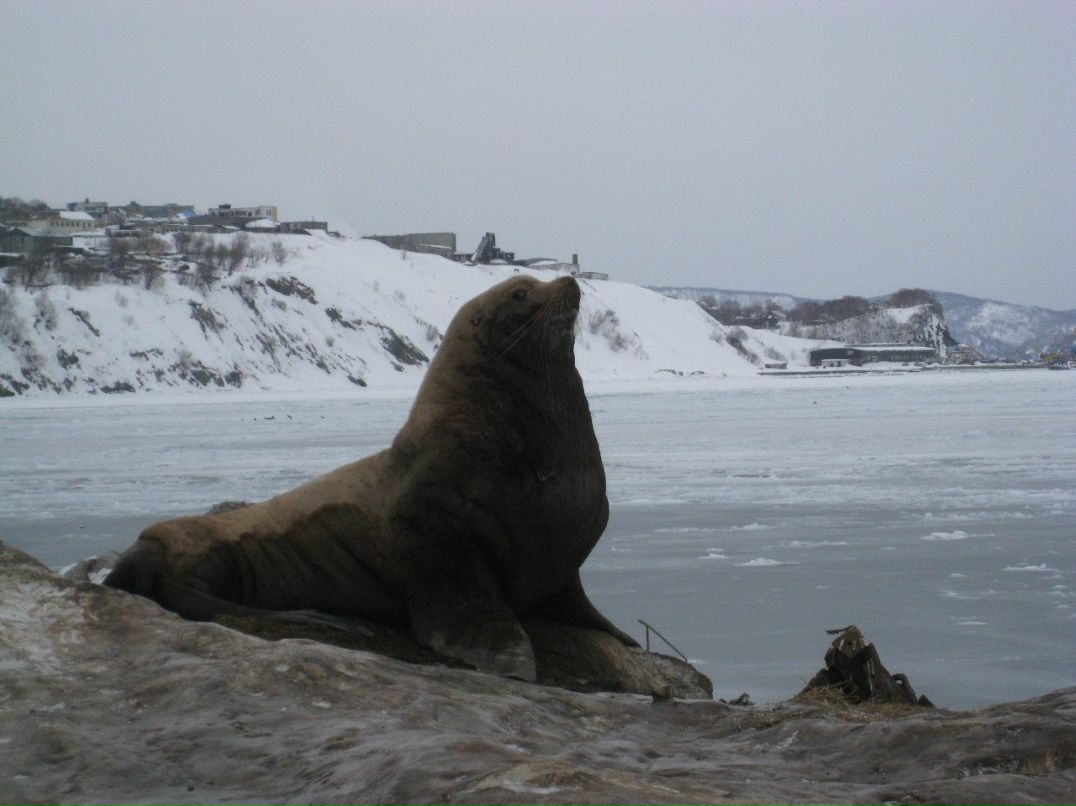 Александр Куракин | Уфа