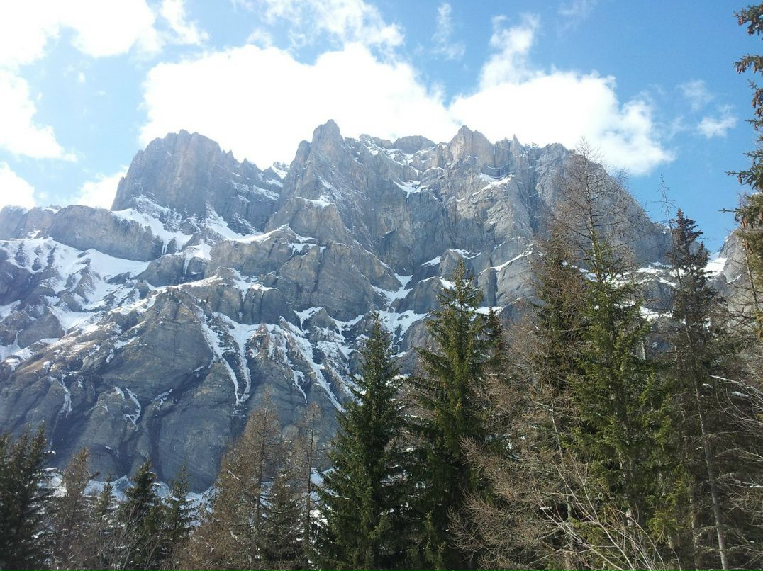 Екатерина Романова | Санкт-Петербург
