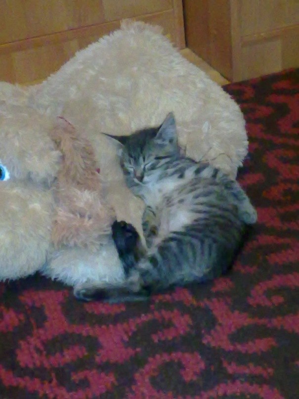 Виктория Столярова | Иваново (деревня)