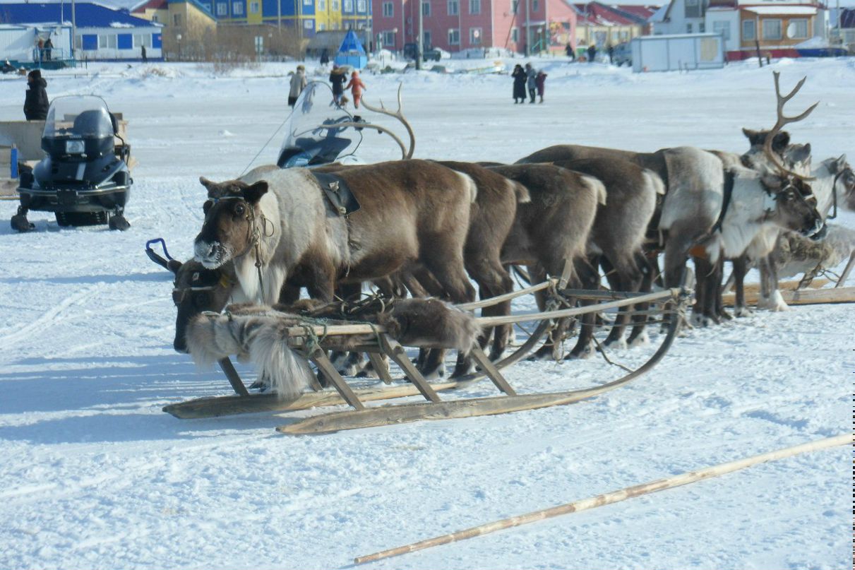 Никита Андреев Дон | Чебоксары