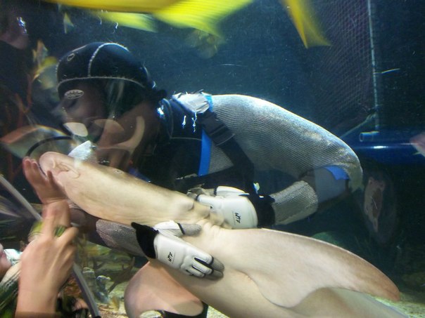 №60, Наташа Харченко, Санкт-Петербург №60, Наташа Харченко, Санкт-Петербург