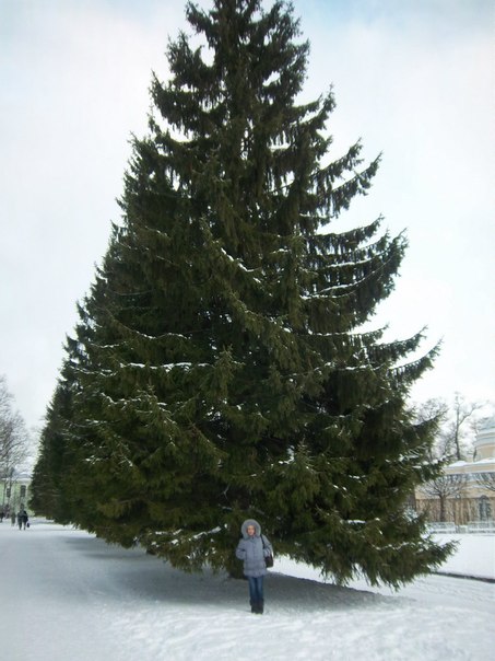 №33, Наташа Харченко, Санкт-Петербург №33, Наташа Харченко, Санкт-Петербург