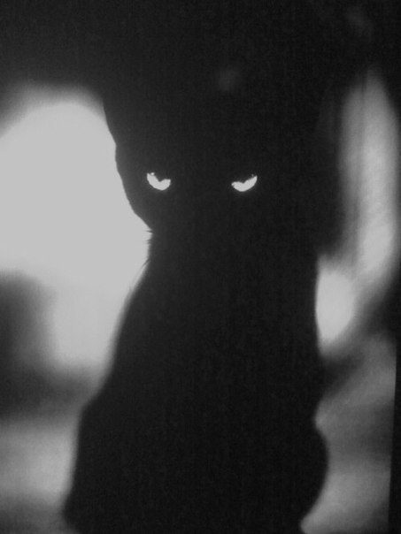 Роман Бондарев /Rem/ | Харьков