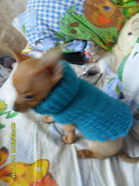 №56, Олеся Семакова, Северодвинск №56, Олеся Семакова, Северодвинск