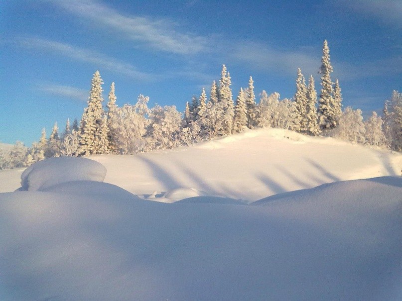 Артем Шестаков | Великий Новгород