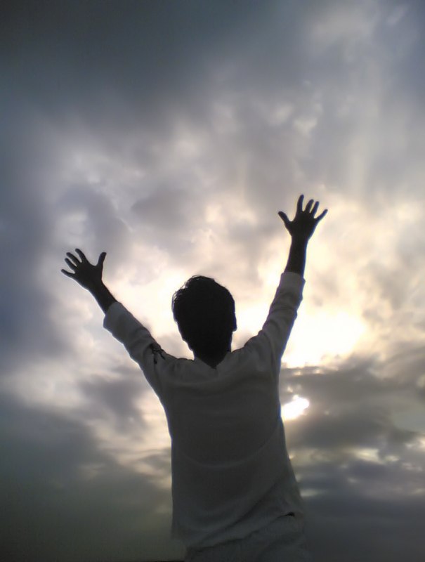 Хох Охо | Киев