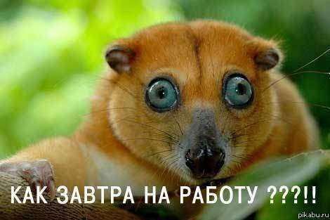 Руслан Ненахов | Мончегорск