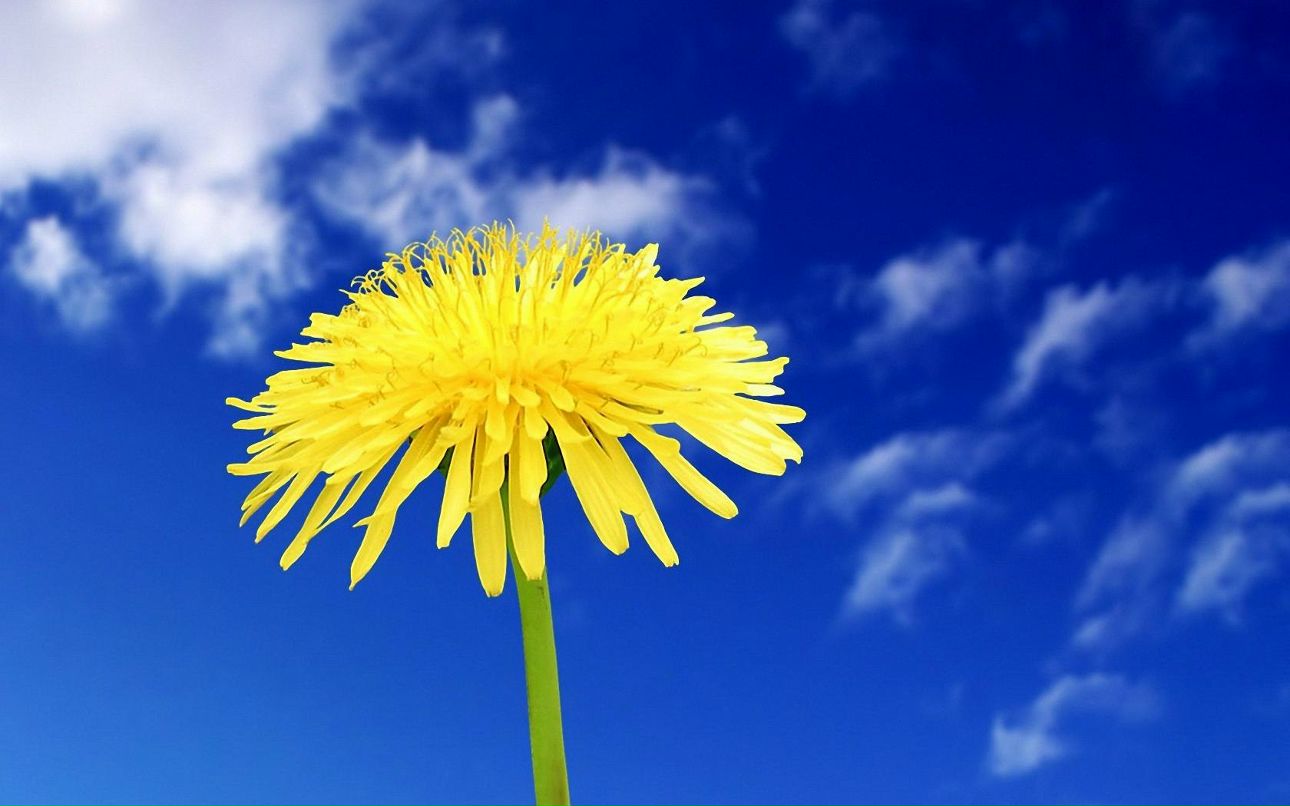 Данька Егорова | Нижний Новгород