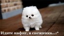 Nata Lia, , 